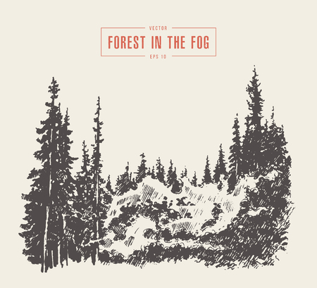 Misty fog pine forest mountain vector drawn sketchのイラスト素材
