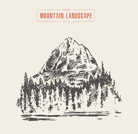 Vector of a mountain peak pine forest lake drawnのイラスト素材