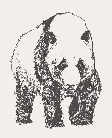 Panda hand drawn vector illustration sketch linearのイラスト素材