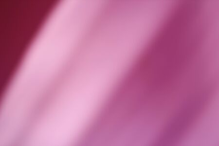 Real shadow palm tree falls wall background pinkの写真素材