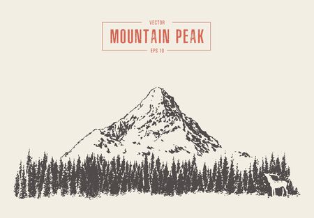 Mountain peak with fir forest and deer silhouette. Hand drawn vector illustration, sketchのイラスト素材