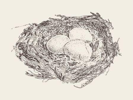 Bird nest three eggs hand drawn vector sketchの写真素材
