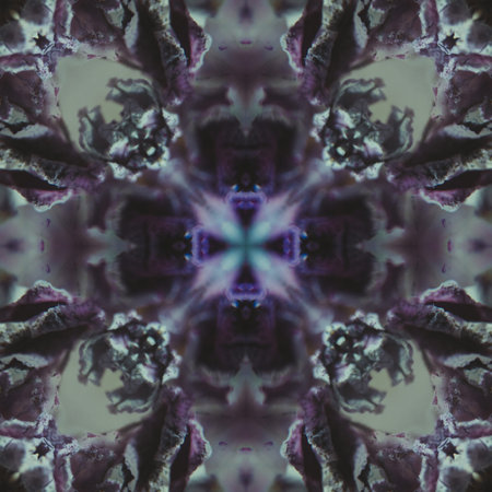 Beautiful kaleidoscope a Flower Floral pattern bg
