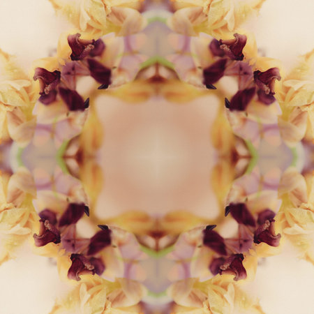 Beautiful kaleidoscope a Flower Floral pattern bg
