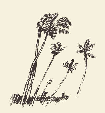 Silhouette of palm trees drawn vector sketch.のイラスト素材