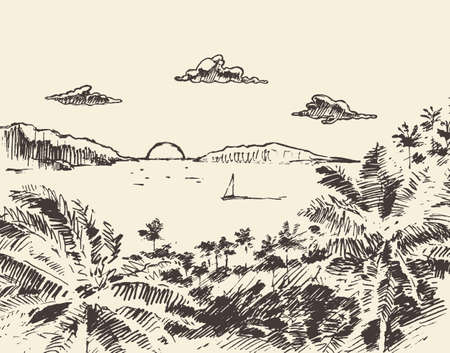 Beautiful drawn vacation palm ocean vector sketchのイラスト素材