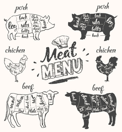 Meat menu pork chicken beef cuts hand drawn vectorのイラスト素材