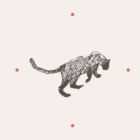 Realistic illustration of leopard. Hand drawn vector illustrationのイラスト素材