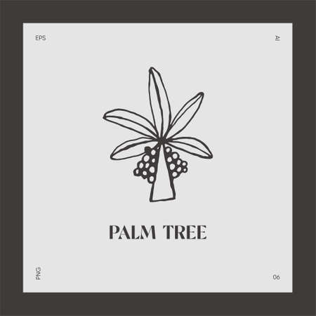 Hand drawn palm tree logotype coco vectorのイラスト素材