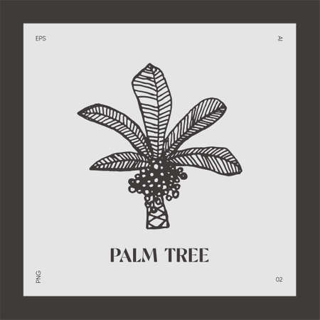 Hand drawn palm tree logotype coco vectorのイラスト素材