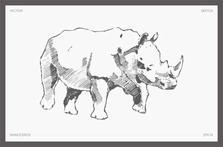 Detail drawn vector of rhinoceros realistic a sketchのイラスト素材