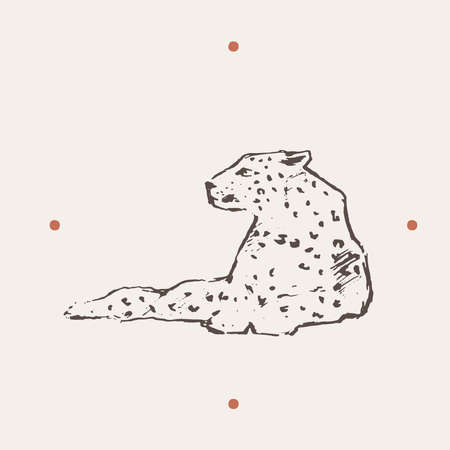 Realistic illustration of leopard. Drawn a vectorのイラスト素材