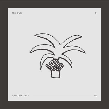 Hand drawn palm tree logotype coco vectorのイラスト素材