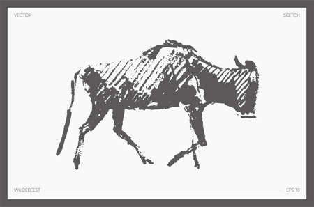 High detail hand drawn vector wildebeest sketchのイラスト素材