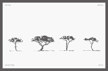 Set of detail hand drawn vector safari tree acaciaのイラスト素材