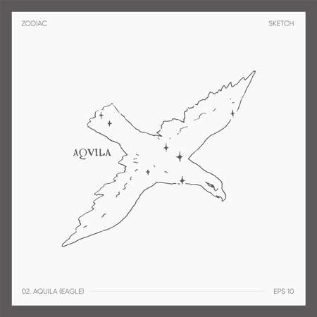 Illustration of astrological zodiac Aquila Eagleのイラスト素材