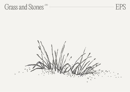 Hand drawn vector illustration of grass and rocks on blank backdrop. Isolated sketch.のイラスト素材