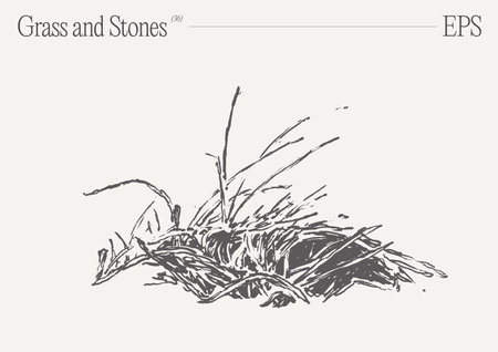 Hand drawn vector illustration of grass and rocks on blank backdrop. Isolated sketch.のイラスト素材