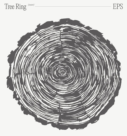 Natural Wood Texture, Annual Rings, Tree Trunk Sectionのイラスト素材