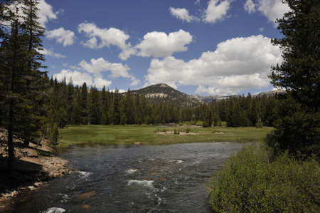 Reds Meadowの写真素材