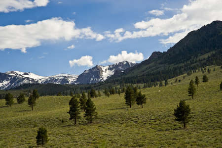 June Mountain の写真素材