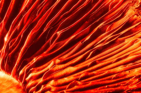 Macro image of a orange and yellow microfiber clothの写真素材