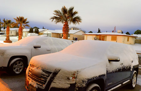 El Paso Texas - 3 February 2022:   
Snow covered cars in drive way with palm treesのeditorial素材