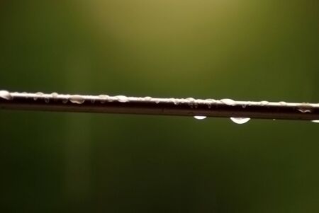 rain drops on cableの写真素材