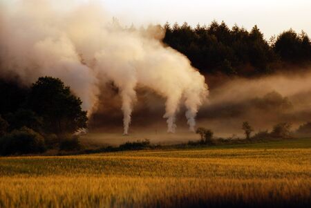 Burning grassの写真素材