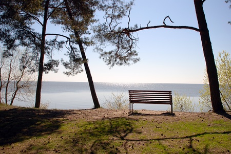 lonely bench near the  beachの写真素材
