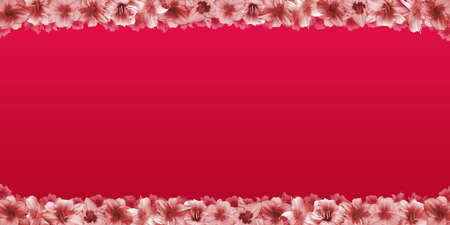 Frieze of white and red flowers on a red gradient backgroundの写真素材