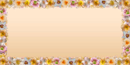 Frame of multicolored flowers on light beige gradient backgroundの写真素材