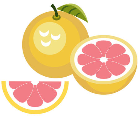 Grapefruit with half and sliceのイラスト素材