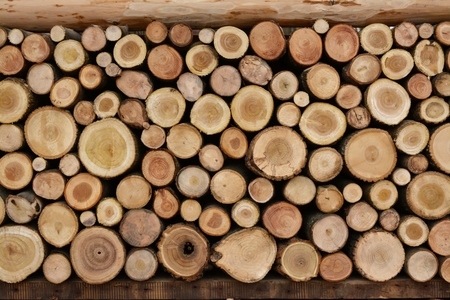 Wood logs for heating up the Winterの写真素材