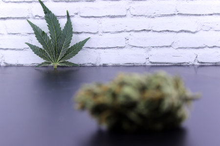 Medicinal marijuana buds and cannabis seeds on a black table and with a white background
