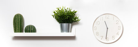 White shelf with clock, cactus and potted plant on white backgroundの写真素材
