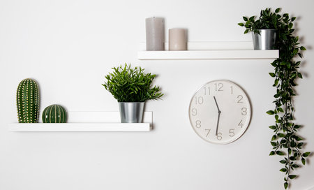 White shelf with plants and clock on the wall. Interior decoration.の写真素材