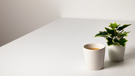 A cup of coffee and a green plant on a white table.の写真素材