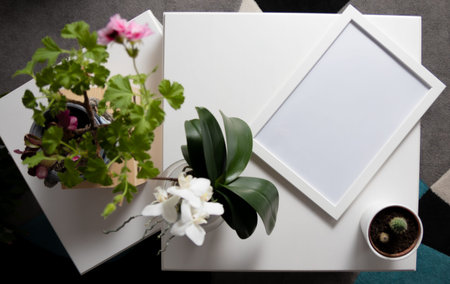 Flowers and photo frame on a white table. Flat lay.の写真素材