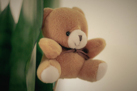 Teddy bear with green plant on white background, vintage tone.の写真素材