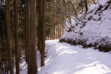 snow covered road in sunny forest  Japanese の写真素材