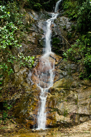 Clean Fresh Water stream flowing down mountain in green jungle through rocks.の写真素材