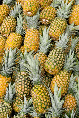 Fresh pineapples at Ecuadorian fresh fruit marketの写真素材