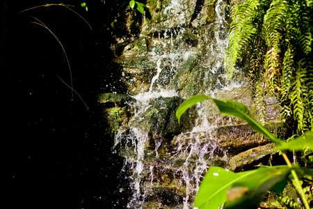 Falling clean fresh water in bright Ecuador Sun with green plants
