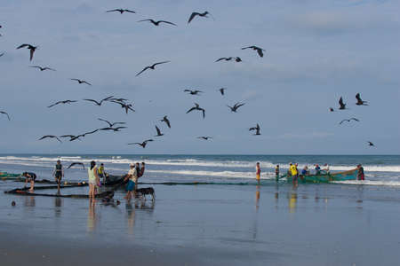 SAN CLEMENTE, MANABI, ECUADOR-Circa  August 2013:Fishermen pull in their nets  in San Clemente, Ecuador on Circa August 2013. Traditional Daily catches feed the village and provide incomeのeditorial素材