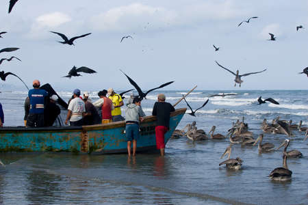 SAN CLEMENTE, MANABI, ECUADOR-Circa  August 2013:Fishermen pull in their nets  in San Clemente, Ecuador on Circa August 2013. Traditional Daily catches feed the village and provide incomeのeditorial素材