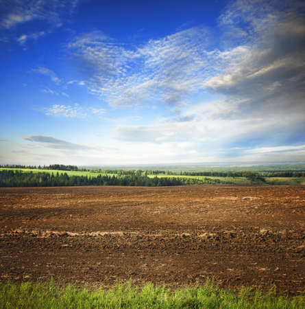 Plowed agricultural field with brown lowed soilの写真素材