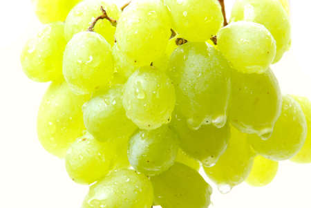 grapeの写真素材
