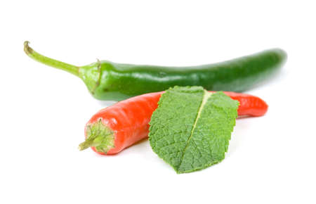 chilli peppers and mint on white backgroundの写真素材