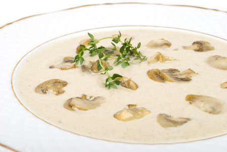 champignon creamの写真素材